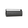 Bose ArenaMatch AMU208-120 compact high-performance loudspeaker