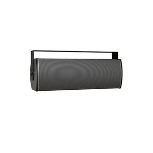 Bose ArenaMatch AMU208-120 compact high-performance loudspeaker