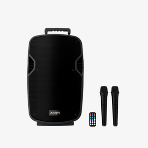 Audibax Denver 12 Portable PA System with Battery Dubai