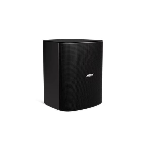 Bose DesignMax DM12SE 12-Inch Coaxial Surface-Mount Loudspeaker