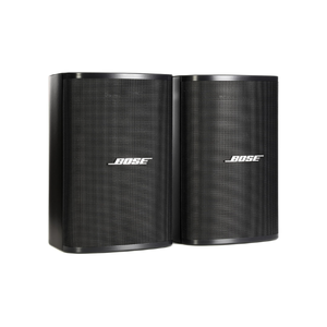 Bose Professional DesignMax DM3SE loudspeaker