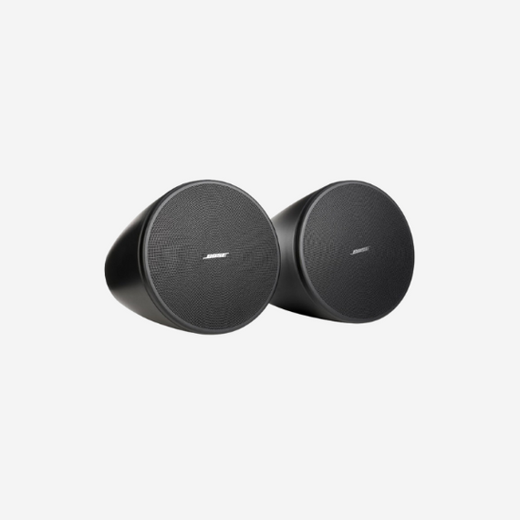 Bose Professional DesignMax DM5P black