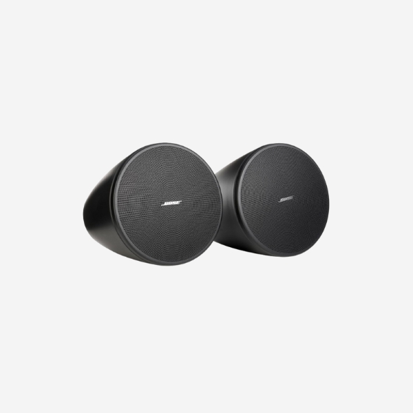 Bose Professional DesignMax DM5P black