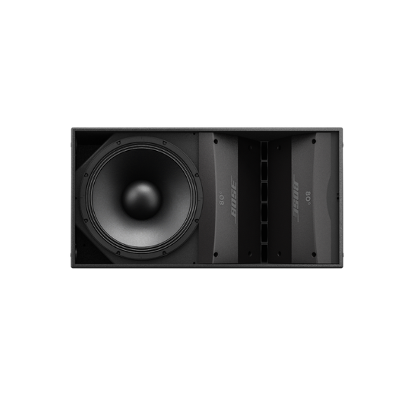 Bose ArenaMatch AM10 DeltaQ array loudspeaker