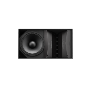 Bose ArenaMatch AM20 DeltaQ array loudspeaker