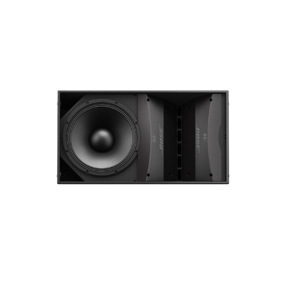 Bose ArenaMatch AM20 DeltaQ array loudspeaker