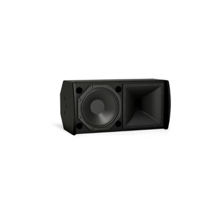 Bose ArenaMatch AMU108 compact high-performance loudspeaker Dubai