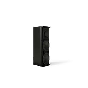 Bose ArenaMatch AMU206 compact high-performance loudspeaker Dubai