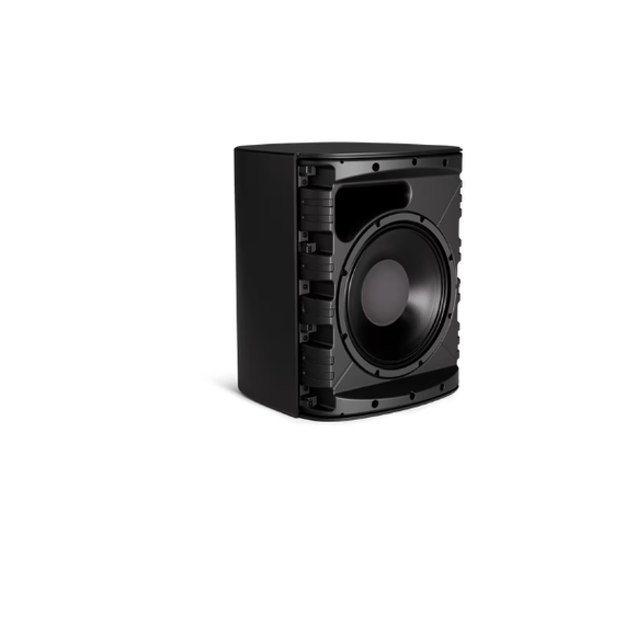 Bose DesignMax DM12SE 12-Inch Coaxial Surface-Mount Loudspeaker