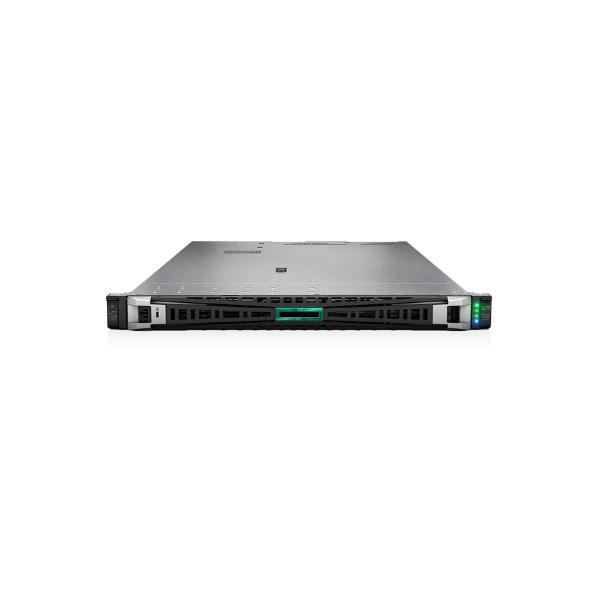 HPE ProLiant DL365 Gen11 Server